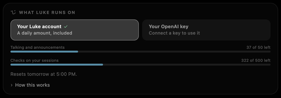 "What Luke runs on" in Settings: the included daily allowance chosen over an OpenAI key, with its talking and session-check meters part-spent.